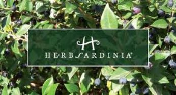 Recensione cosmetici eco-bio Herbsardinia!