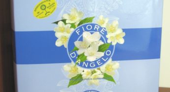 Erboristeria Il Girasole Natale 2012