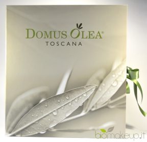 Domus Olea Toscana Natale 2012