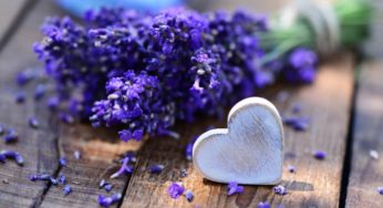 Olio essenziale di Lavanda: le sue proprietà!