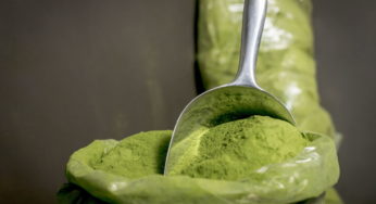 Moringa per capelli: le sue proprietà e come usarla al meglio